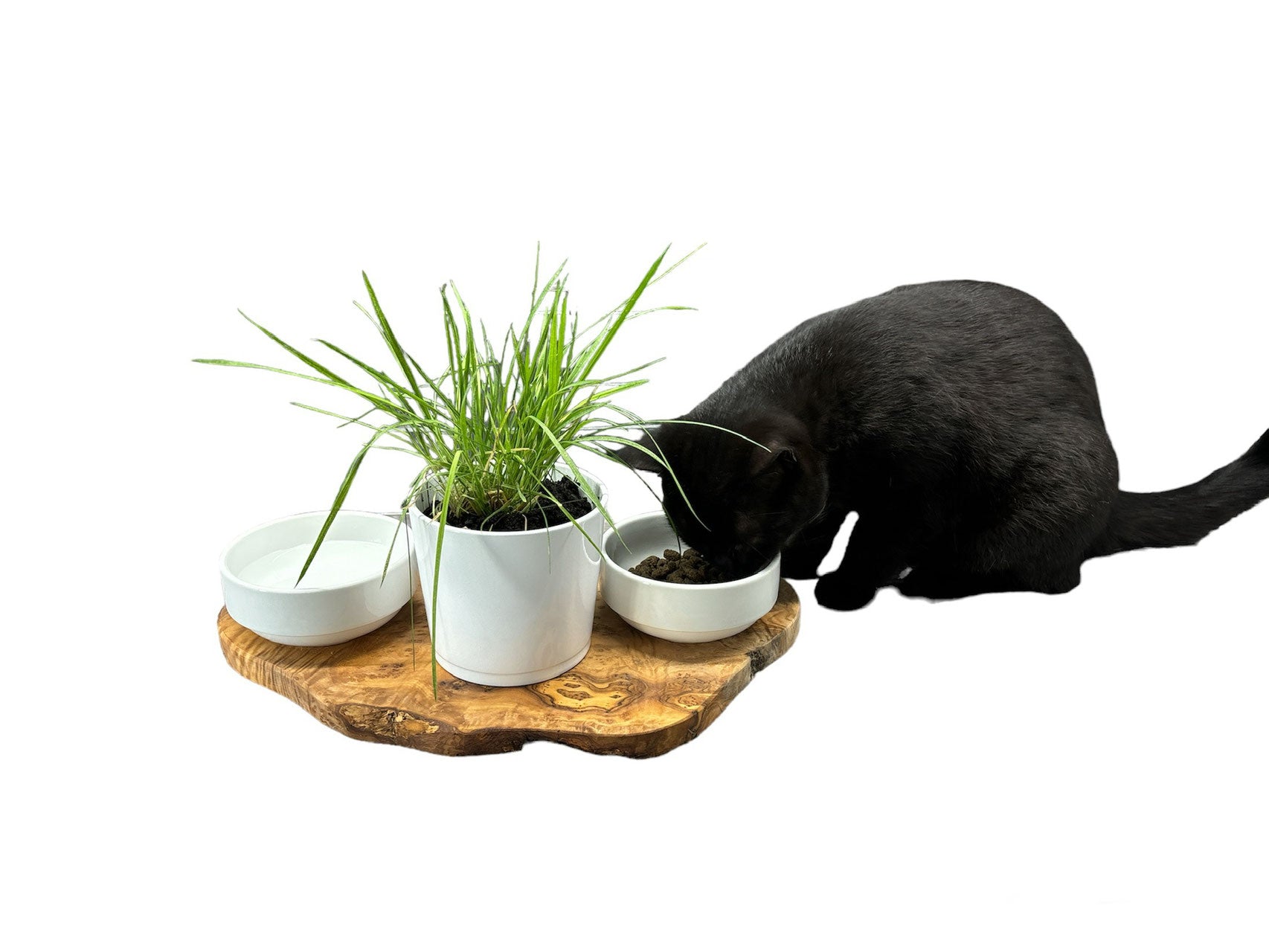 Rusty Trio feeding station made of olive wood with porcelain bowls