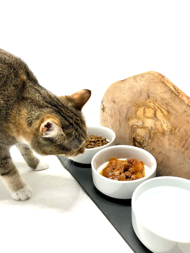 Feeding station "Cats only" Trio Mountain with porcelain bowls made of olive wood 3x400ml