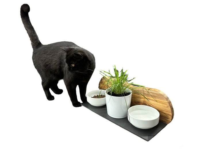 Futterstation MOUNTAIN – 2 Porzellannäpfe + Katzengras-Topf | Olivenholz & schwarze Designplatte